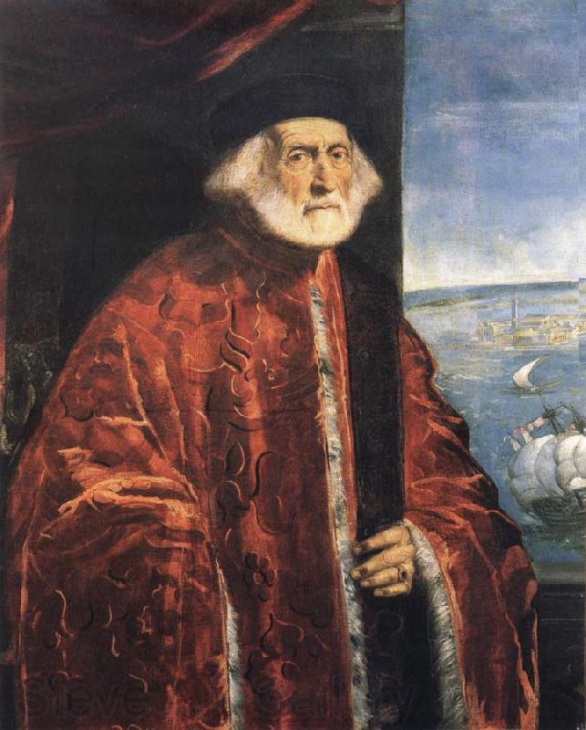 Jacopo Tintoretto Portrait of a Venetian Procurator Norge oil painting art